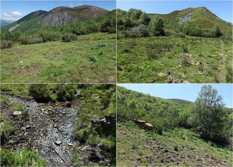 Degaña-Las Ḷḷagunas de Fasguéu-El Veigardón-El Mosqueiru Faro-Piedrafita