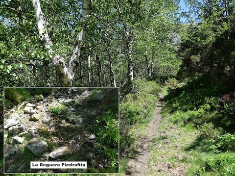 Degaña-Las Ḷḷagunas de Fasguéu-El Veigardón-El Mosqueiru Faro-Piedrafita