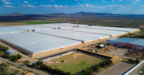 Gallardo propone alternativas para el Invernadero Santa Rita y anuncia avance en la vía alterna