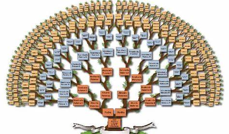 La Genealogía La Genealogía
