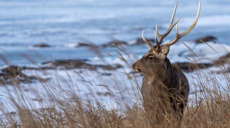 Asturias en invierno: Actividades y lugares para visitar