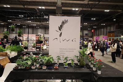 JAPAN WEEKEND MADRID 2025: ANÉCDOTAS E IMÁGENES