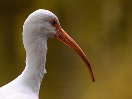 ¡Descubre los secretos de alius reserva 2025 para tu próximo viaje! ¡Descubre los secretos de alius reserva 2025 para tu próximo viaje!