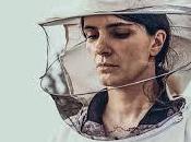 Colmena Tras escuela vida