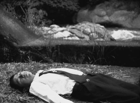 El registro y la forma: El cine de Juan Daniel F. Molero