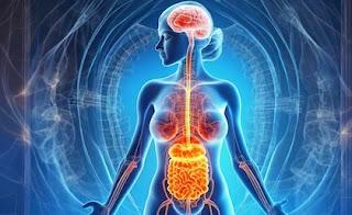 Una nueva terapia con virus podría eliminar bacterias dañinas sin alterar la flora intestinal