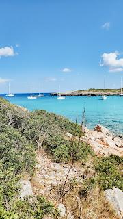 Mallorca: felicidad en la isla más grande de las Baleares Mallorca: felicidad en la isla más grande de las Baleares