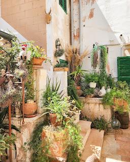 Mallorca: felicidad en la isla más grande de las Baleares Mallorca: felicidad en la isla más grande de las Baleares