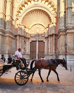 Mallorca: felicidad en la isla más grande de las Baleares Mallorca: felicidad en la isla más grande de las Baleares