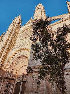 Mallorca: felicidad en la isla más grande de las Baleares Mallorca: felicidad en la isla más grande de las Baleares