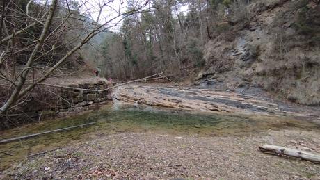 Explorando los Gorgs de Borredà en la Riera de Mergançol | Berguedà Explorando los Gorgs de Borredà en la Riera de Mergançol | Berguedà