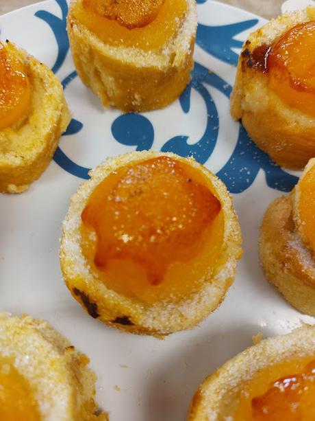 PIONONOS DE SANTA FE