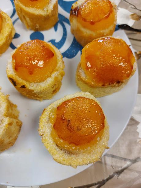 PIONONOS DE SANTA FE