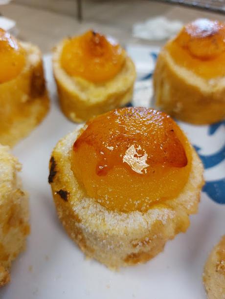 PIONONOS DE SANTA FE