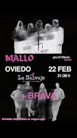 Concierto de Mallo y Brava en La Salvaje de Oviedo