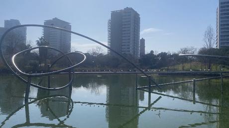 Gaviota de Audouin con la anilla CFW7 Gaviota de Audouin con la anilla CFW7