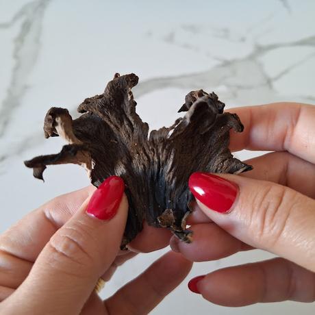 Trompetas de la muerte en polvo Trompetas de la muerte en polvo