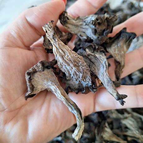 Trompetas de la muerte en polvo Trompetas de la muerte en polvo