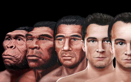 ¿Cómo lucirá el ser humano en 3025? La ciencia nos muestra su posible evolución