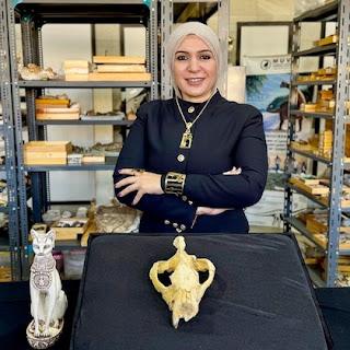 Descubrieron en Egipto a un temible depredador prehistórico que vivió hace 30 millones de años Descubrieron en Egipto a un temible depredador prehistórico que vivió hace 30 millones de años