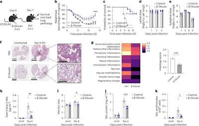 El betaglucano podría ayudar a proteger contra la Influenza