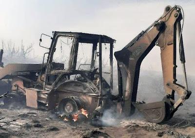 Herida pewenche Herida pewenche