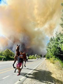 Relatos del fuego: El relato desconocido