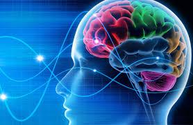 Un nuevo sistema adapta la estimulación al cerebro para mejorar los trastornos del movimiento en pacientes con párkinson