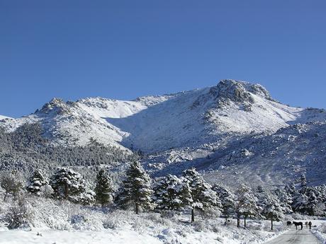 sierra de guadarrama