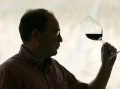 Explorando Mundo Vino Todo sobre Cata Vinos