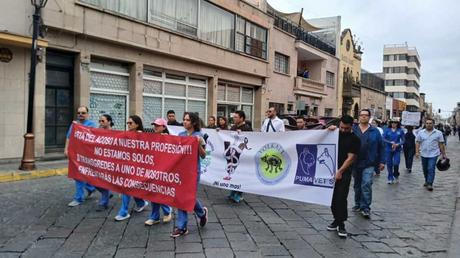 Veterinarios marchan en SLP para exigir respeto a su labor y denunciar violencia en su contra