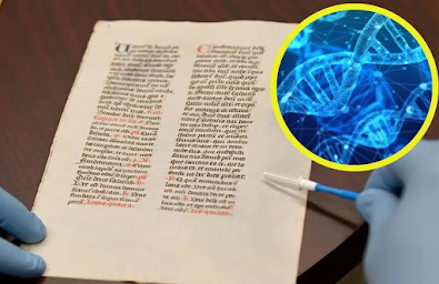Descubren ADN oculto en pergaminos medievales y revelan información jamás vista en documentos históricos gracias a una nueva técnica
