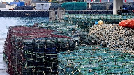TAIWAN : EL GEOPARQUE YEHLIU