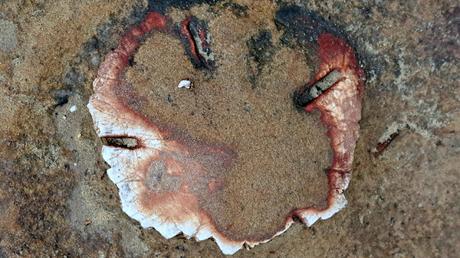 TAIWAN : EL GEOPARQUE YEHLIU