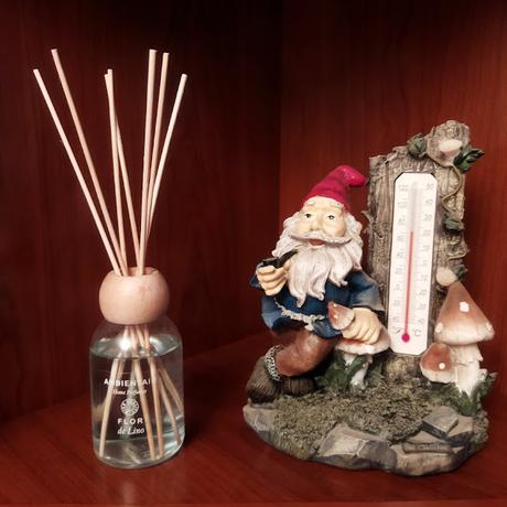 Perfuma tu hogar con los ambientadores Mikado