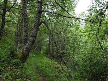 Trabáu-Las Ḷḷagunas de Trabáu-Tesu Mular-El Vaḷḷe Ḷḷeirosu