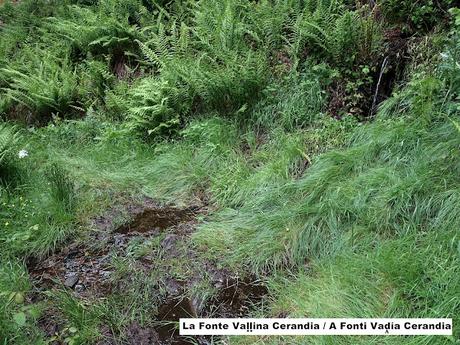 Trabáu-Las Ḷḷagunas de Trabáu-Tesu Mular-El Vaḷḷe Ḷḷeirosu