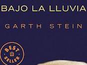 Reseña, arte conducir bajo lluvia