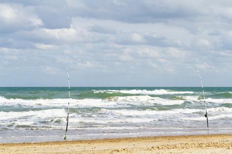 Pesca de surf en South Padre Island