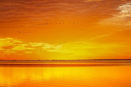 Migraciones SPI al atardecer