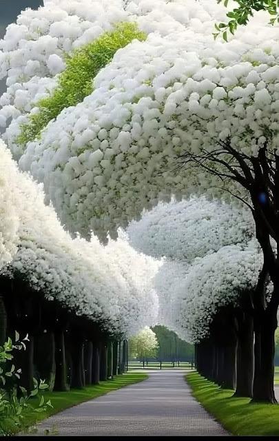 Trumputismo frente Zelenski: EEUU y Rusia negocian el futuro de Ucrania (sin Ucrania).