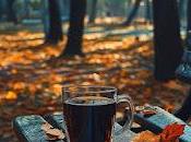 6.121 sentí marcha...