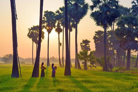 Mujeres paseando por campos de arroz en Ubud, Bali