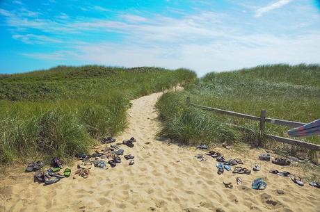12 mejores playas en Nantucket Camino a la playa de las damas