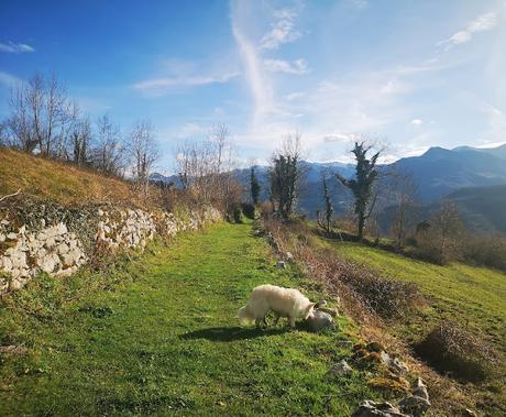 Peña Gradura y La Sala por Senda L' Gabitu y Cuafurada Peña Gradura y La Sala por Senda L' Gabitu y Cuafurada