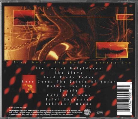 Trey Gunn Band - The Joy Of Molybdenum (2000)