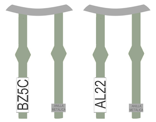 Gaviota de Audouin AL22 y BZ5C Gaviota de Audouin AL22 y BZ5C