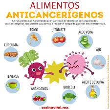 Detectan posibles efectos anticancerígenos en los ácidos nucleicos presentes en algunos alimentos Detectan posibles efectos anticancerígenos en los ácidos nucleicos presentes en algunos alimentos
