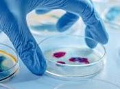 Descubren tercer estado biológico trasciende vida muerte