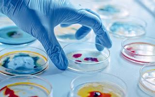 Descubren un tercer estado biológico que trasciende la vida y la muerte Descubren un tercer estado biológico que trasciende la vida y la muerte